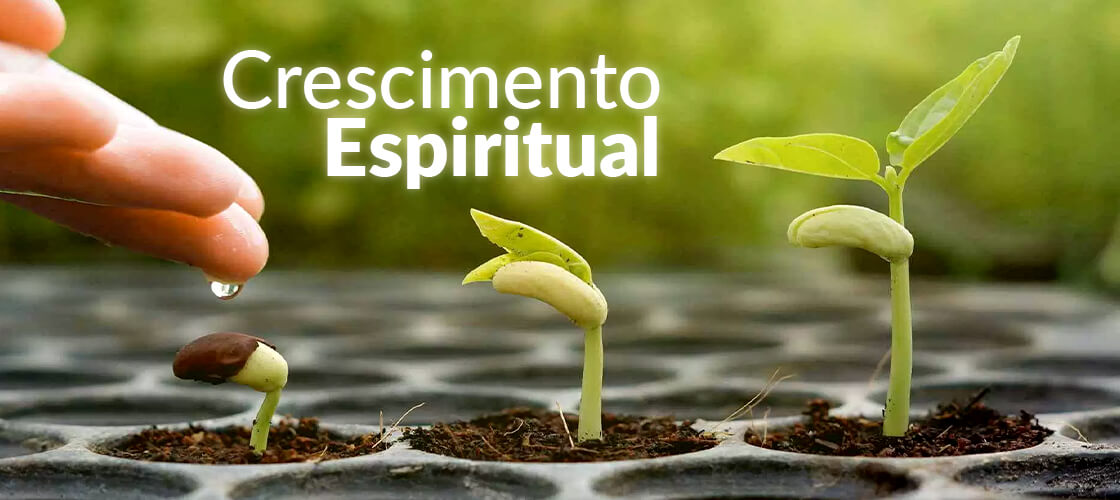 Para cresceres espiritualmente, precisas dos outros